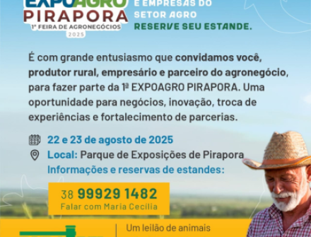 Destaque